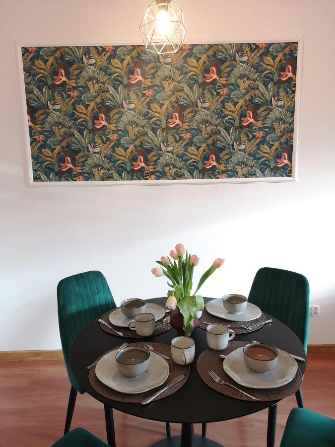 דירות Piotrków Trybunalski Apartament Reymonta Park מראה חיצוני תמונה